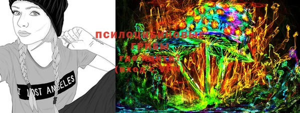 Альфа ПВП Баксан