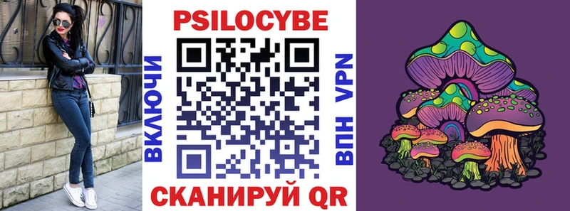 Псилоцибиновые грибы Psilocybe купить Сенгилей